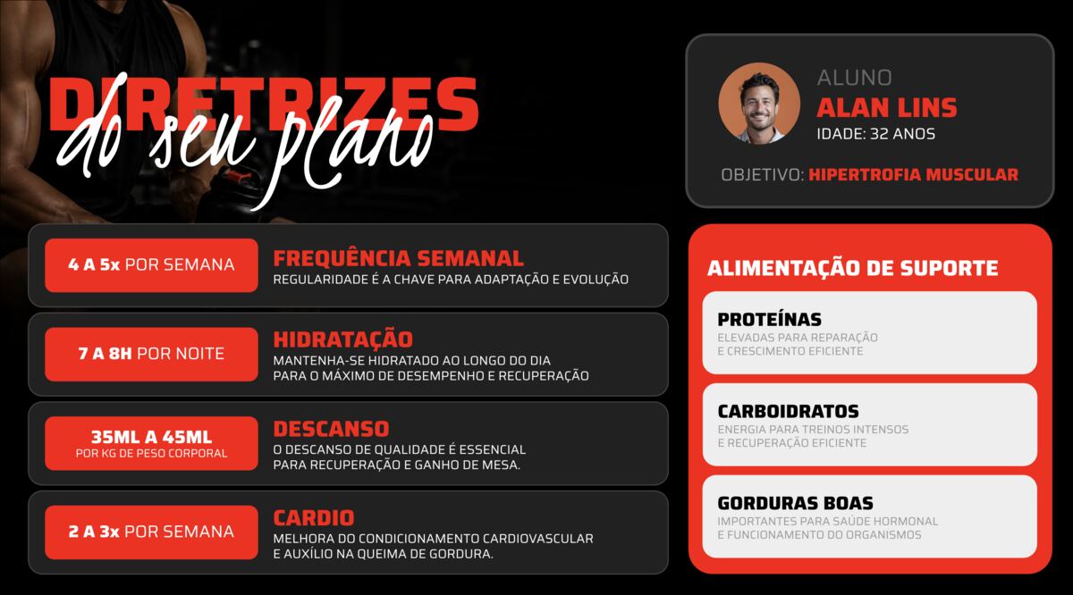 Diretrizes do plano